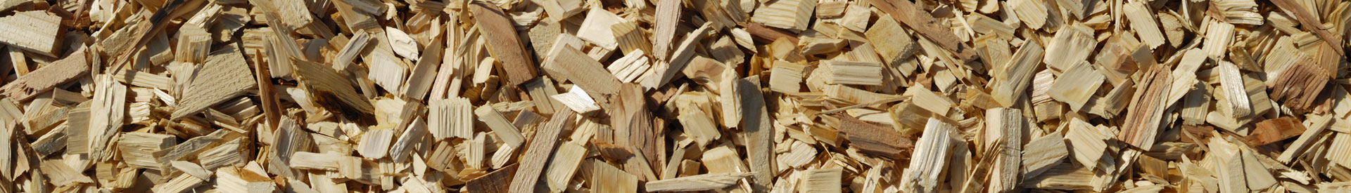Tree Surgeons Bideford Barnstaple