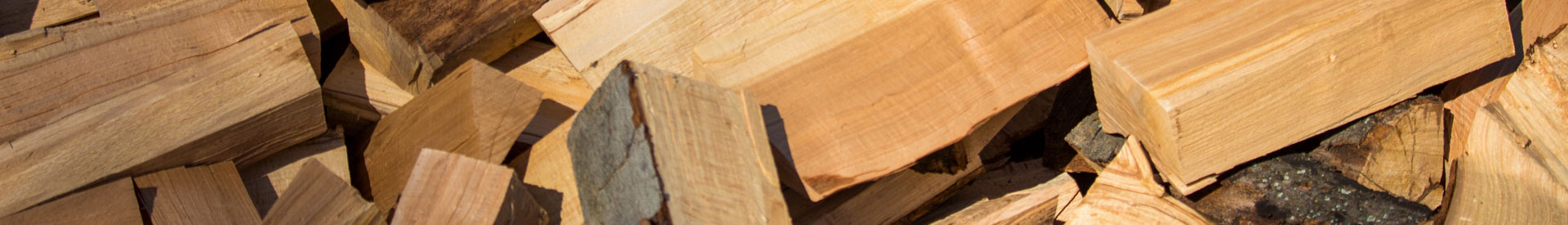 Tree Surgeons Bideford Barnstaple