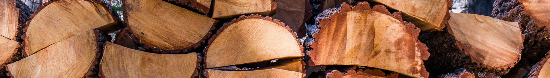 North Devon Tree Surgeons